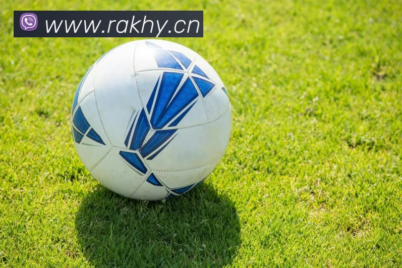 leyu乐鱼中国官方网站服务体系